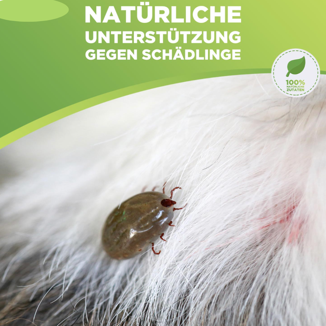 AntiZecken_FloeheHalsbandfuerHundeundKatzenmitaetherischenOelen-wirkt8Monatelang_natuerlichesmittelgegenzecken_5