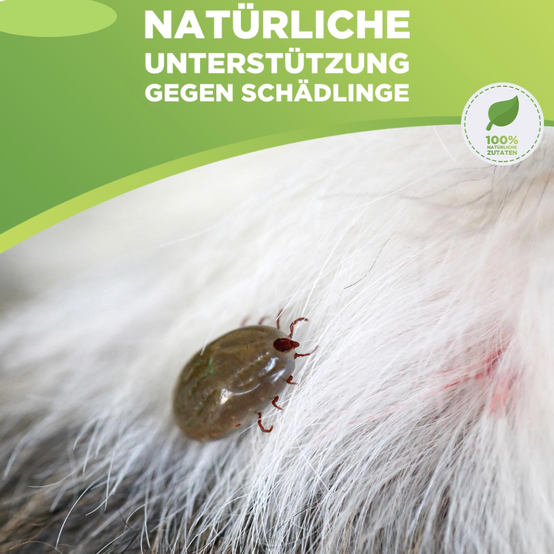 Anti Zecken & Flöhe Halsband für Hunde und Katzen mit ätherischen Ölen - wirkt 8 Monate lang_natürliches mittel gegen zecken_15