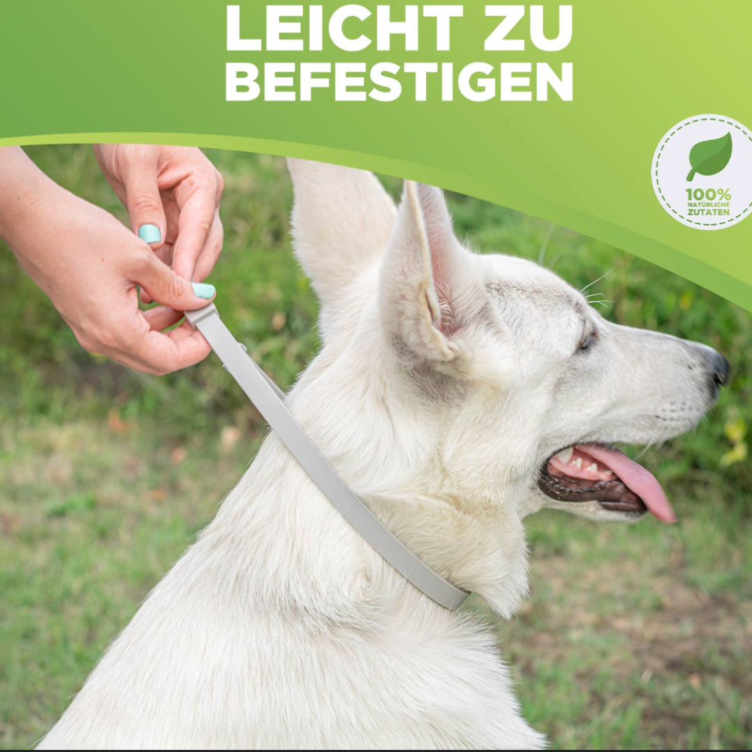 Anti Zecken & Flöhe Halsband für Hunde und Katzen mit ätherischen Ölen - wirkt 8 Monate lang_natürliches mittel gegen zecken_16