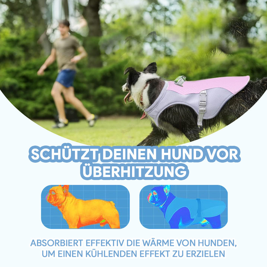 PetCool Kühlweste für Hunde - Deinlieblingstier