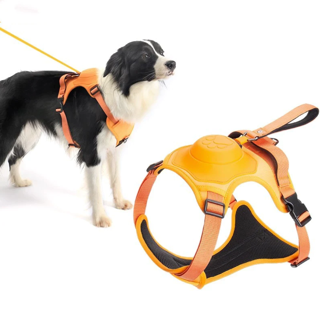 Hundegeschirr mit integrierter Leine