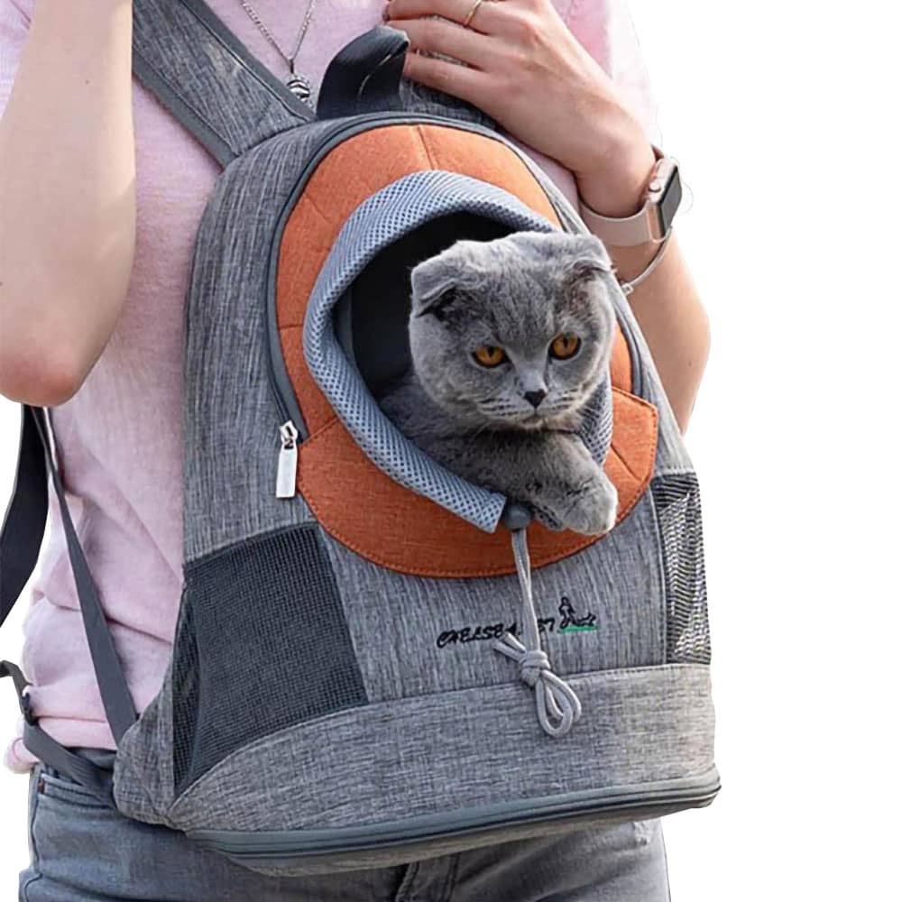 Hunde Tragerucksack