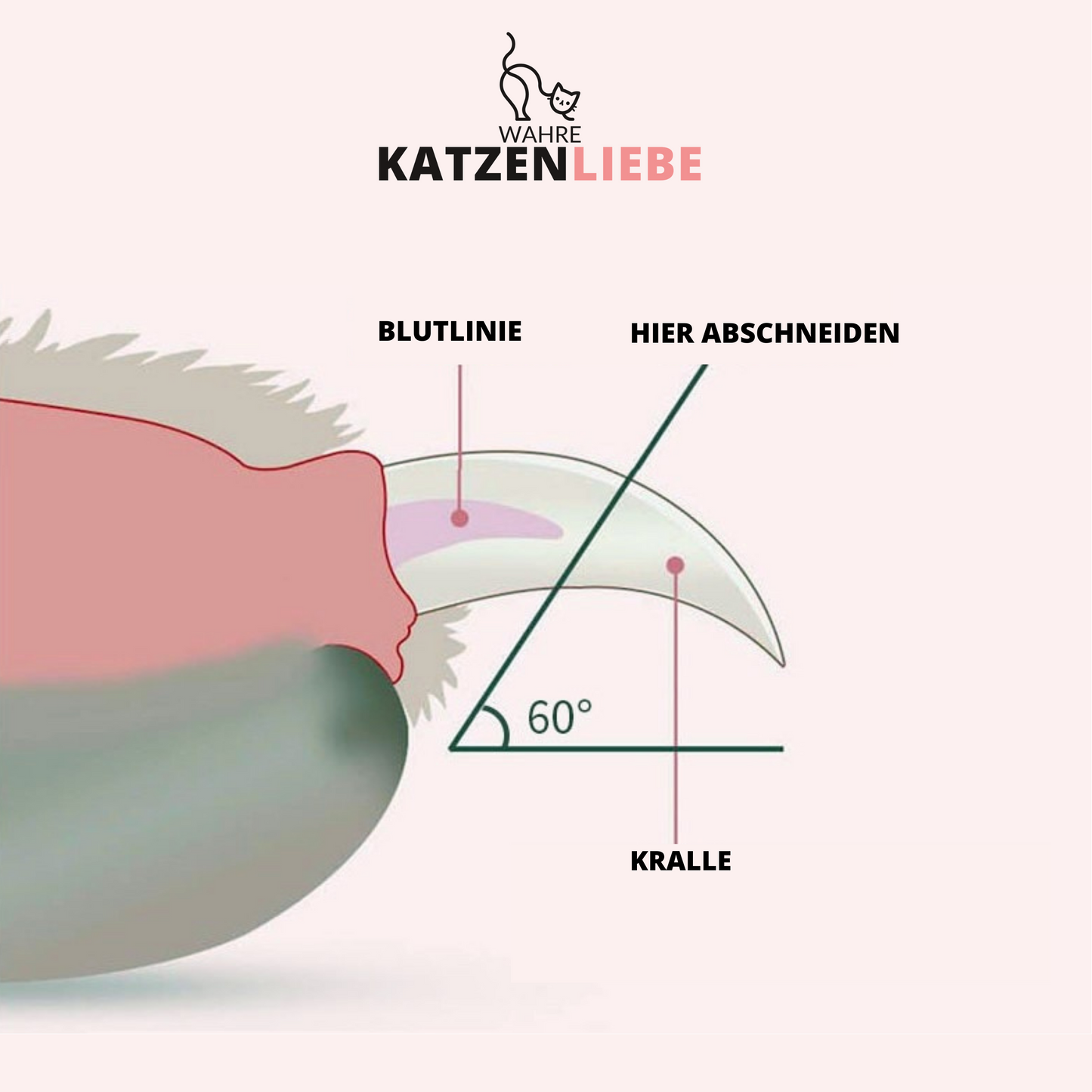 Premium Nagelklipper