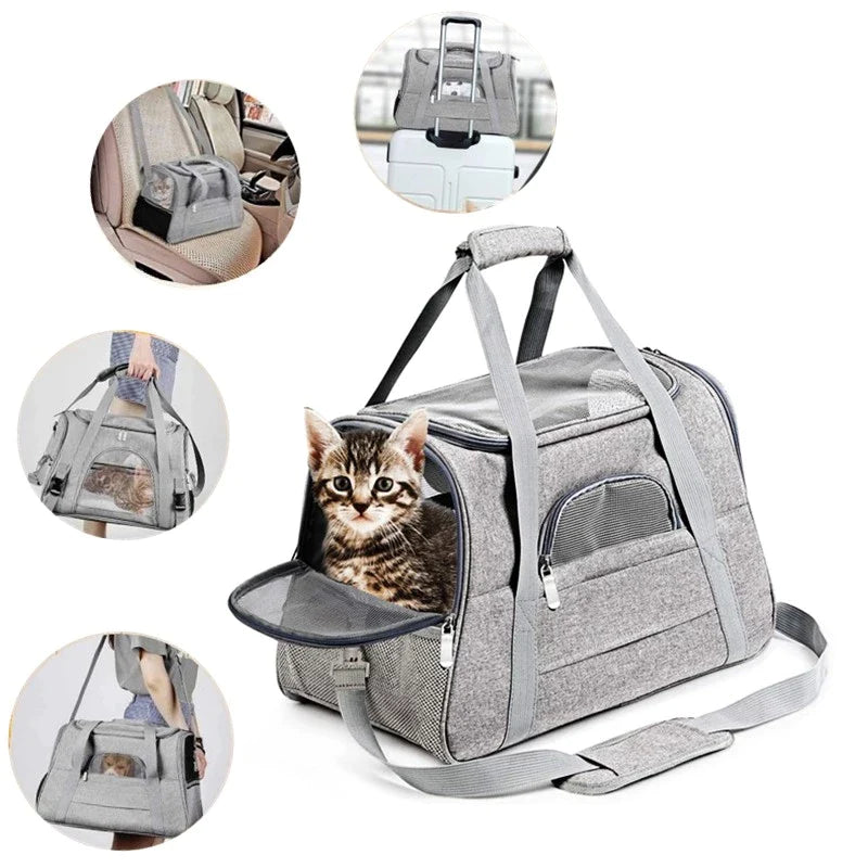 Robuste Transporttasche für Katzen