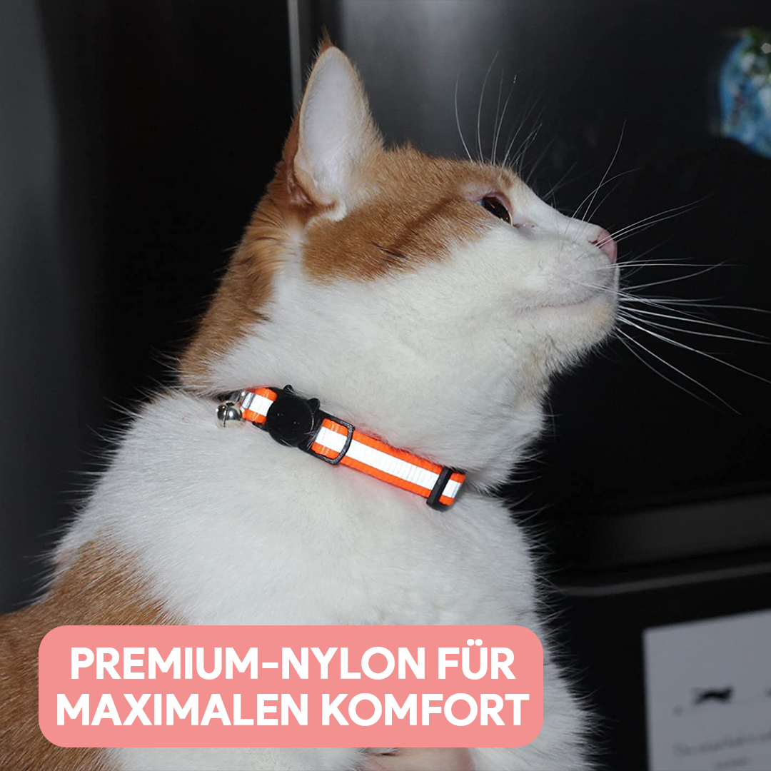 Katzen - LED Leuchthalsband