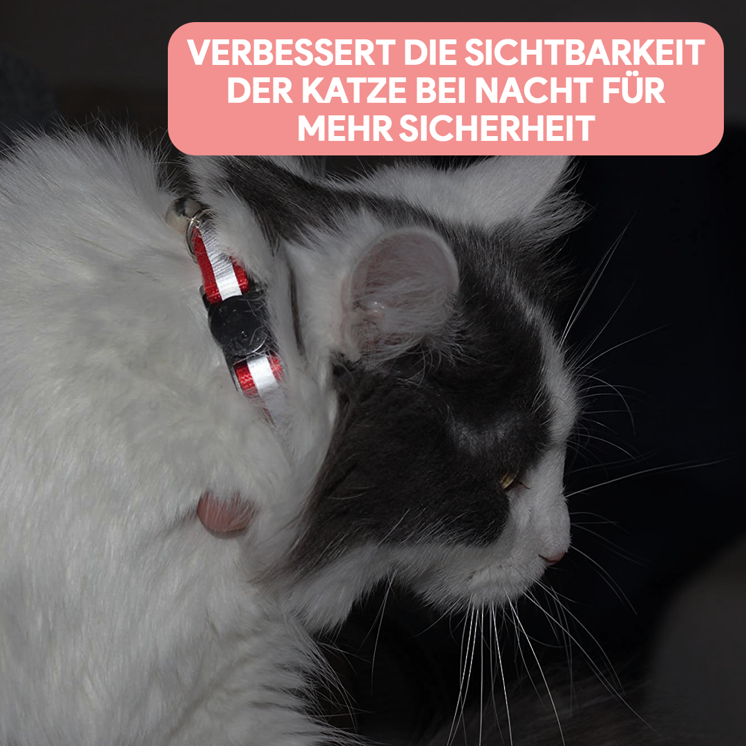 Katzen - LED Leuchthalsband
