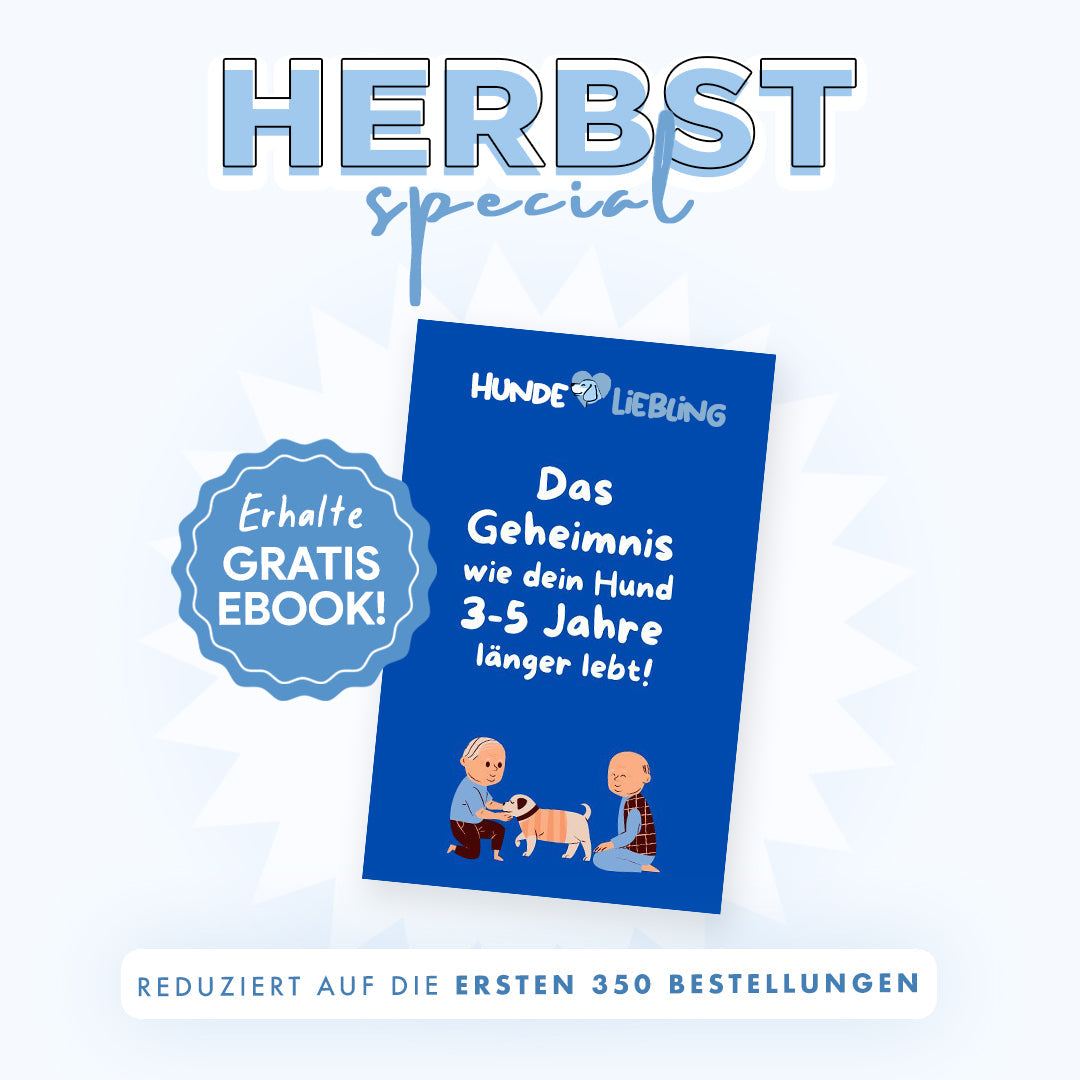 Deinlieblingstier - Anti Zug Welpengeschirr