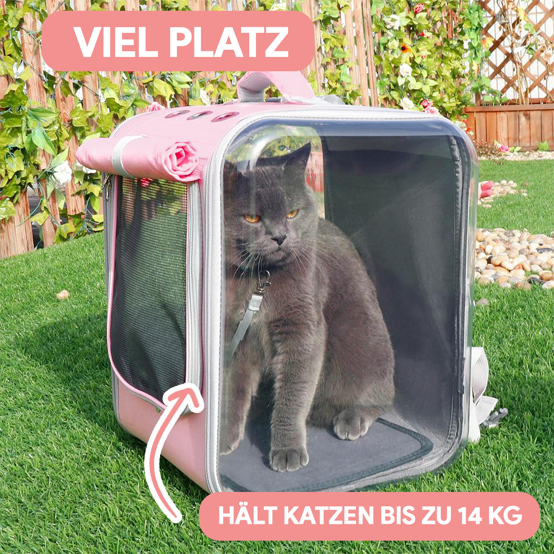 Katzenrucksack