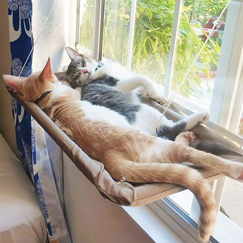 Katzen Hängematte