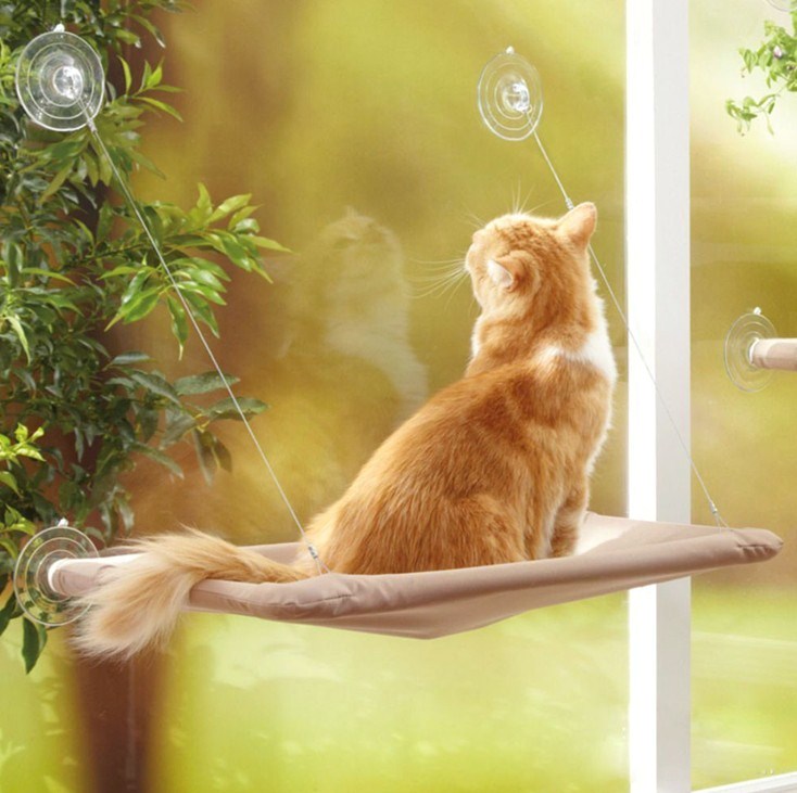 Katzen Hängematte