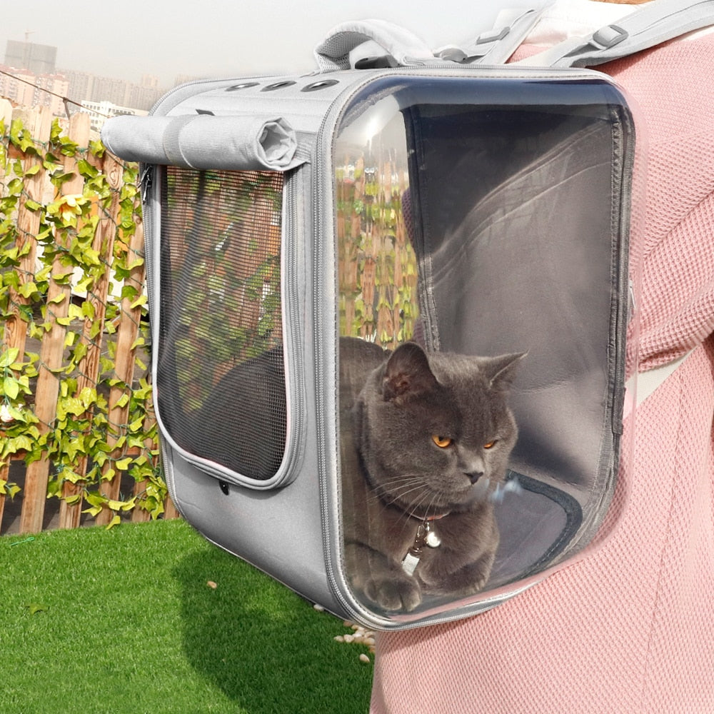 Katzenrucksack