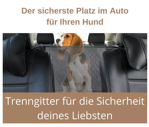 Hunde-Autodecke & Trennwand für Rückbank/Kofferraum inkl. Haltegurt_schwarz 2