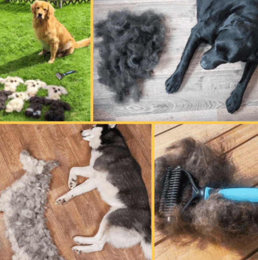 Hundebürste & Katzenbürste / Unterwollkamm - entfernt Unterwolle & Verfilzungen, beugt Krankheiten vor, für alle Haarlängen geeignet-3