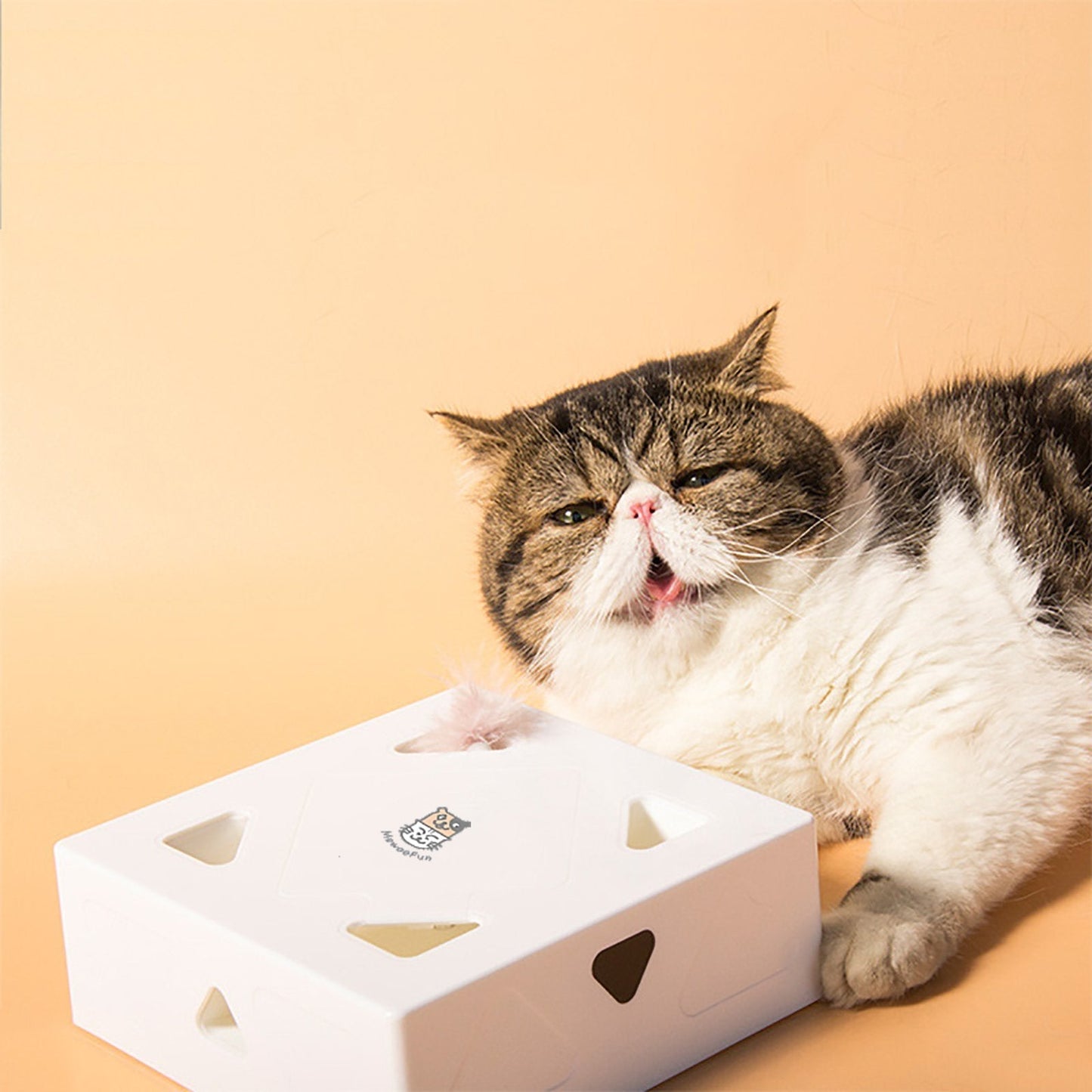 Deinlieblingstier Fafas Katzenspielzeug I Das schnelle Federspielzeug_2