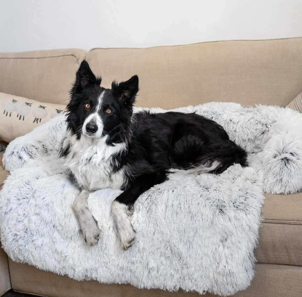 Kuscheliges Hunde-Sofabett "Wolkentraum" - Anti-Stress, wasserdicht, leicht waschbar_grau