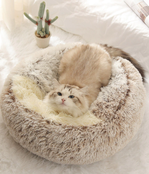 Orthopädisches Katzenbett - kuschelig weich, waschbar, haustierfreundlich_beige 3