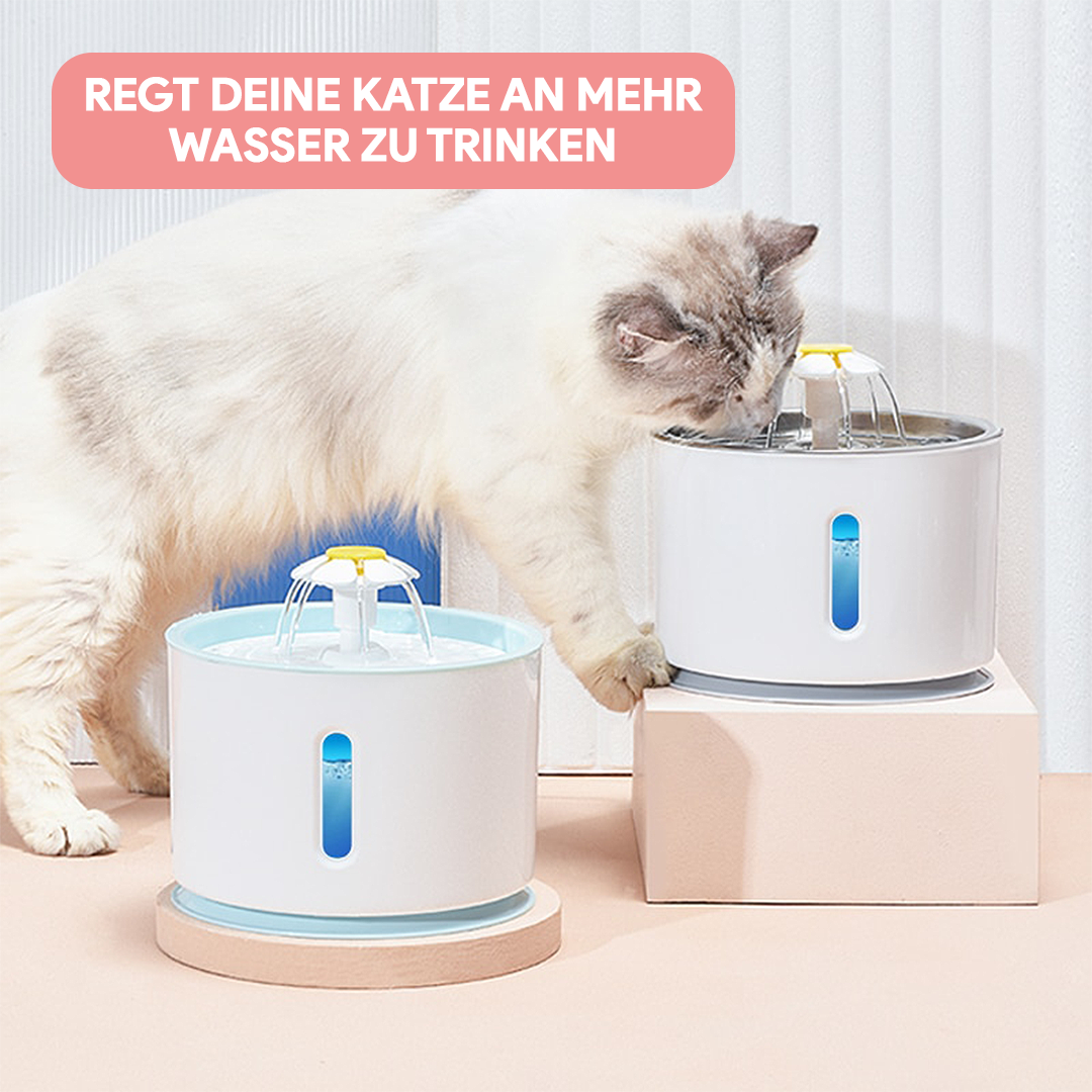 Trinkbrunnen für Katzen - Testsieger