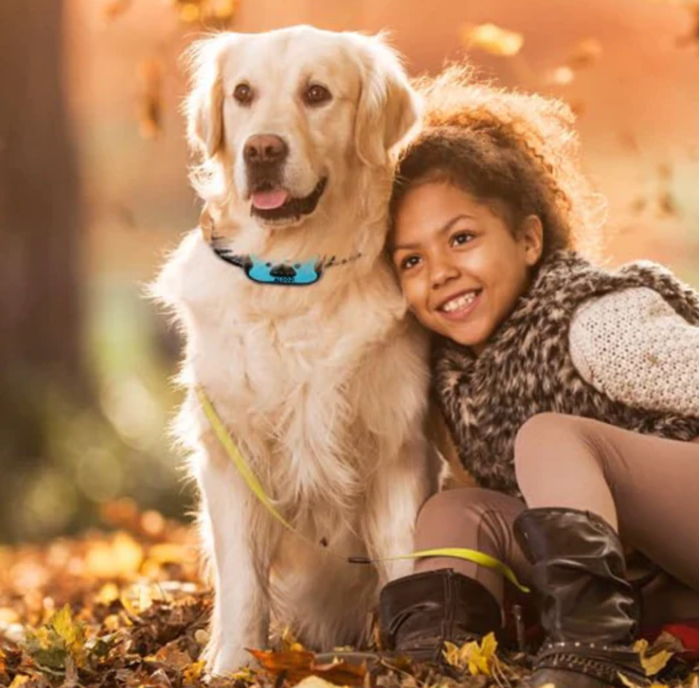 Vibrationshalband Fr Hunde Anti Bell Hundehalsband Mit Ton & Vibration Wiederaufladbar, Inkl. LCD Display Fr Die Sanfte Hundeerziehung Vibrationshalband Fr Hunde Anti Bell Hundehalsband Mit Ton & Vibration Wiederaufladbar, Inkl. LCD Display Fr Die Sanfte Hundeerziehung