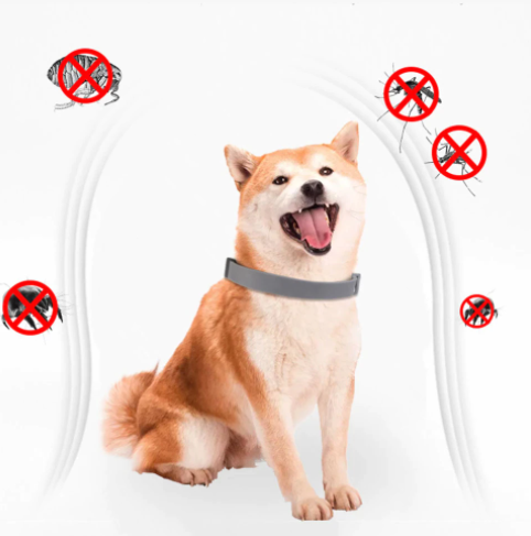 Anti Zecken & Flöhe Halsband für Hunde und Katzen mit ätherischen Ölen - wirkt 8 Monate lang_natürliches mittel gegen zecken_1._10
