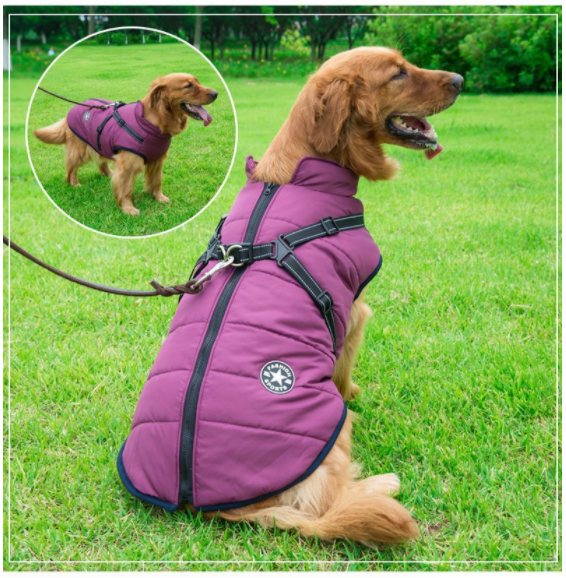 Allwetter-Hundejacke - wasserdicht, verstellbar_lila