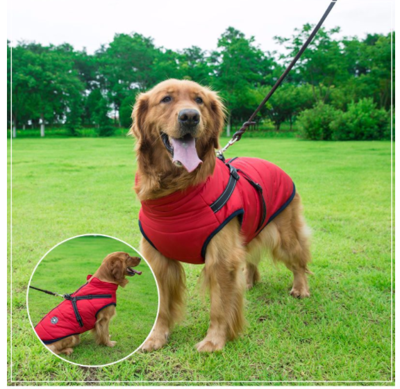 Allwetter-Hundejacke - wasserdicht, verstellbar_rot 2