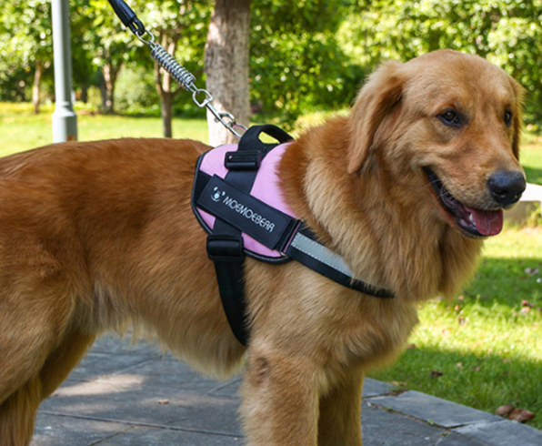 Flexy™ Power Hundegeschirr, strapazier- und anpassbar _rosa 5