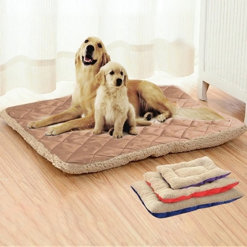 hundebett matratze neu