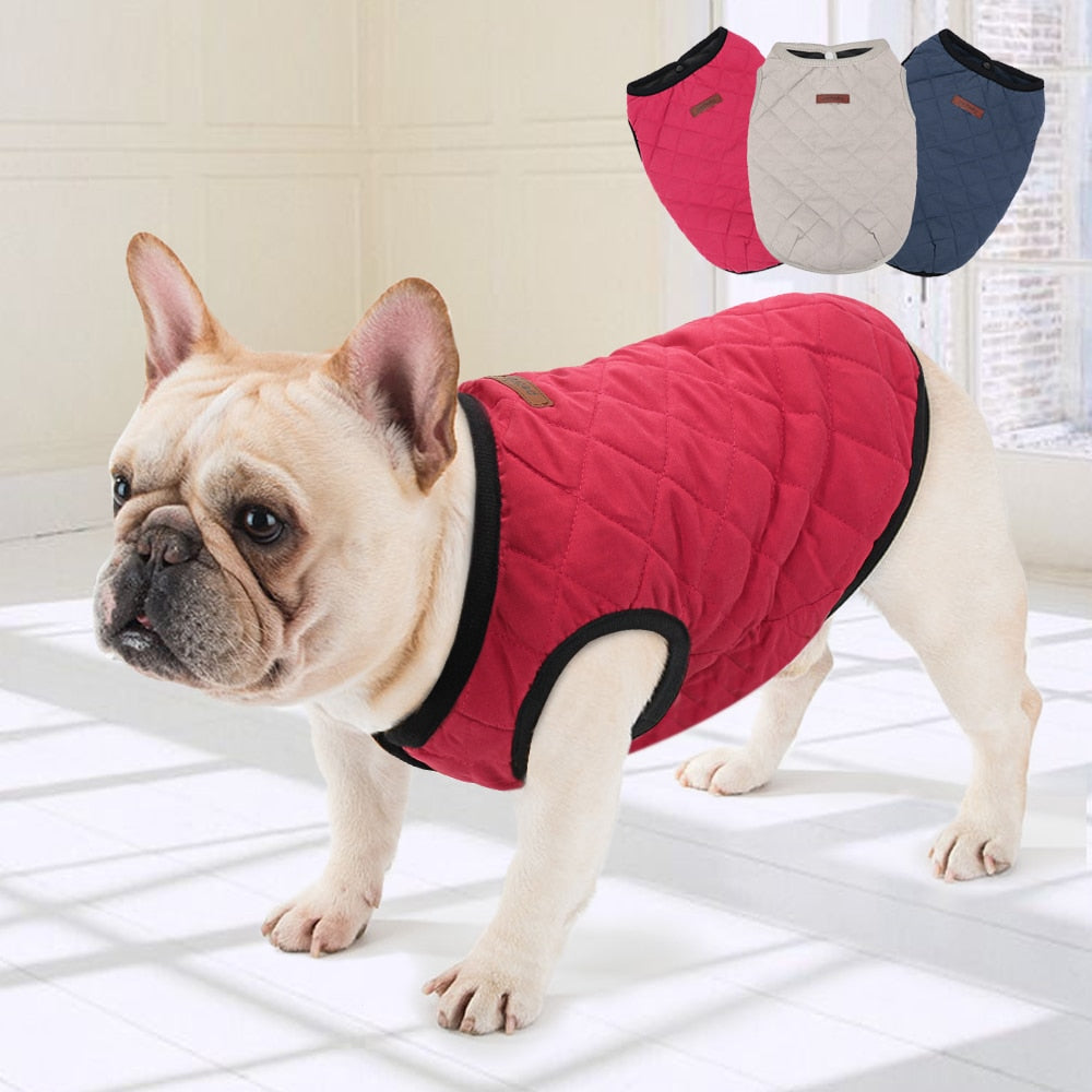 Hunde Winterjacke - Caddy