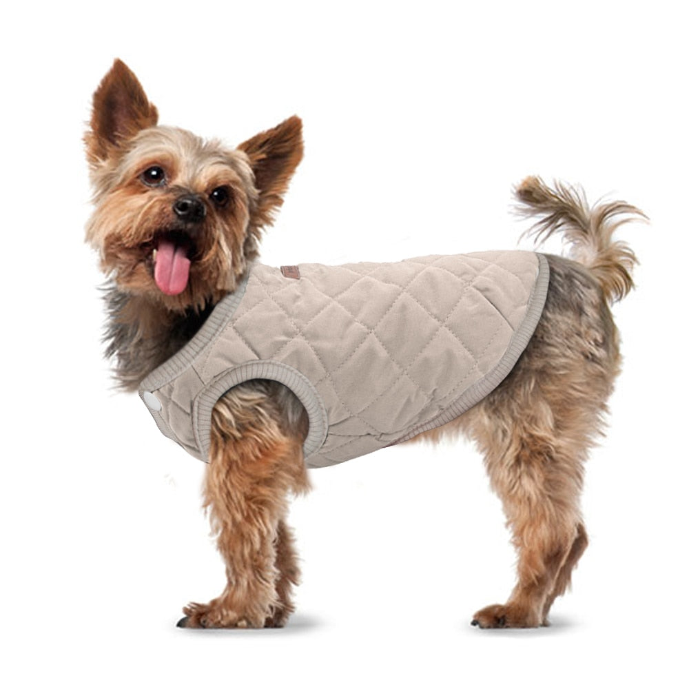 Hunde Winterjacke - Caddy