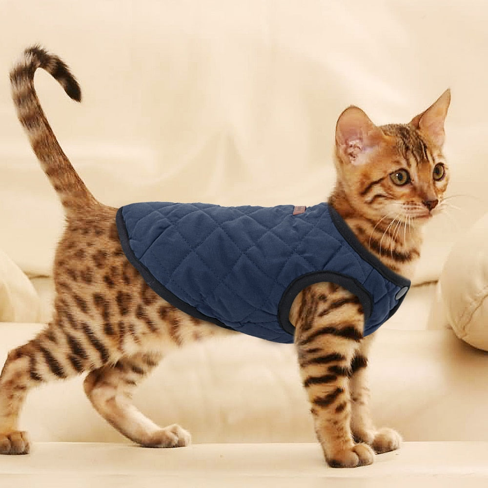 Hunde Winterjacke - Caddy