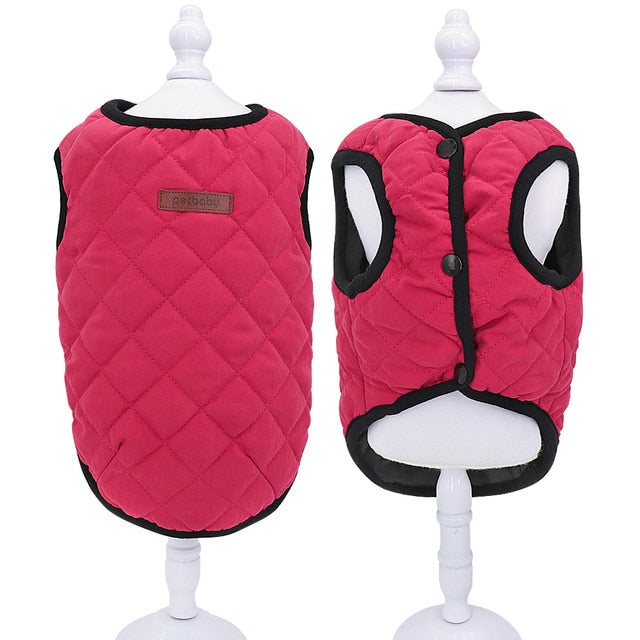 Hunde Winterjacke - Caddy