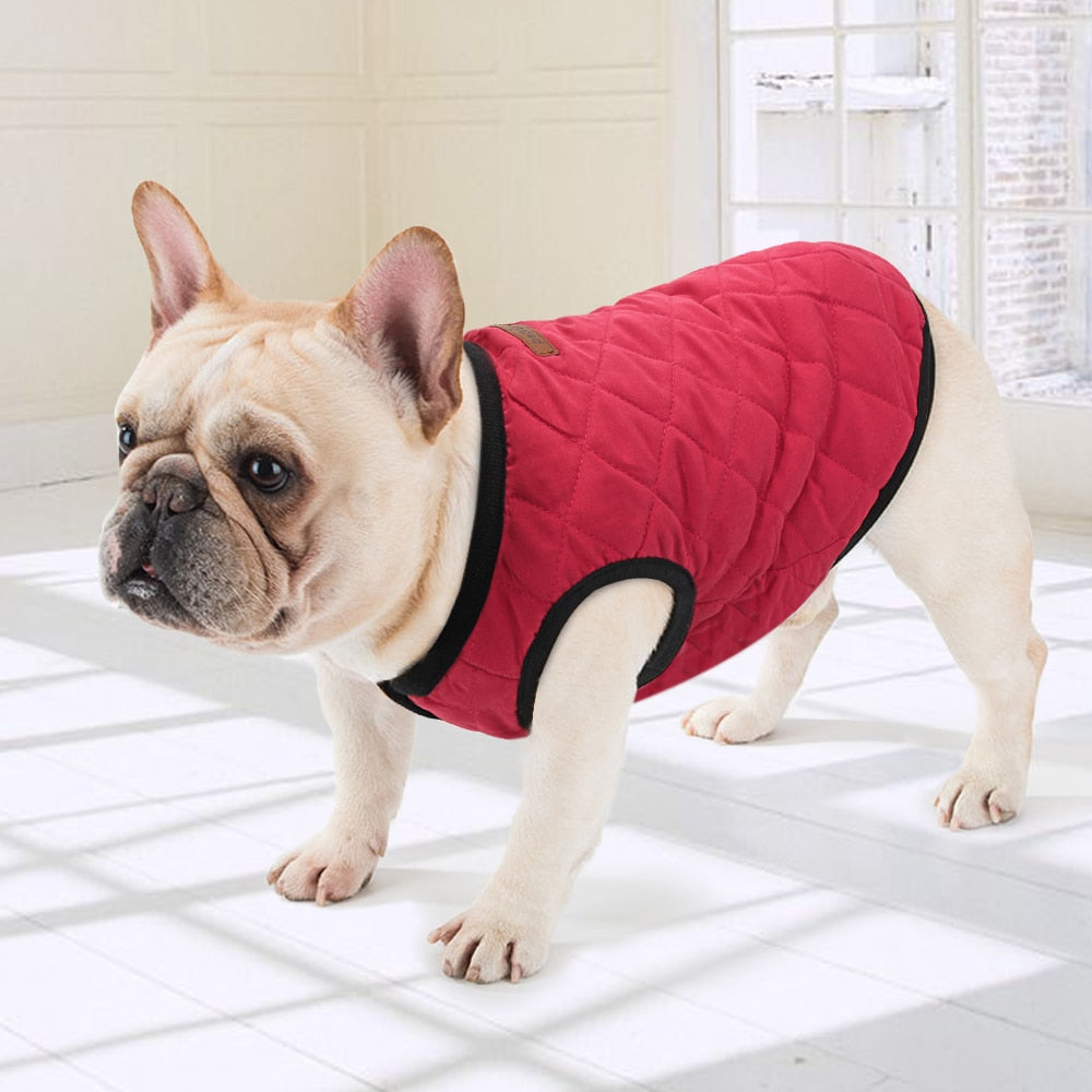 Hunde Winterjacke - Caddy