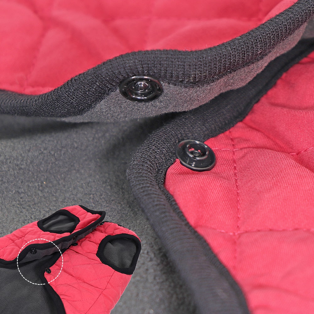 Hunde Winterjacke - Caddy
