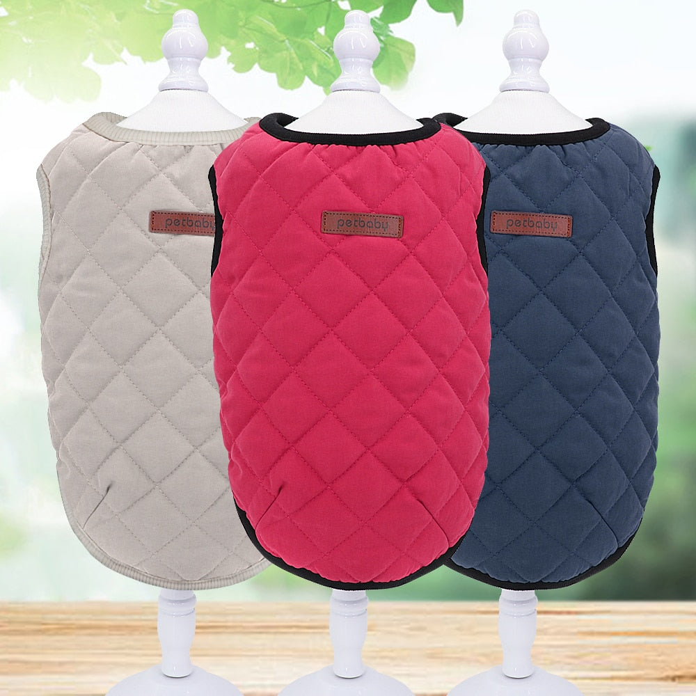 Hunde Winterjacke - Caddy