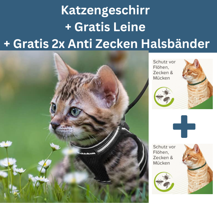 2-in-1 Katzengeschirr inkl. Gratis Leine + 2x Gratis Anti Zecken Halsbänder für Katzen