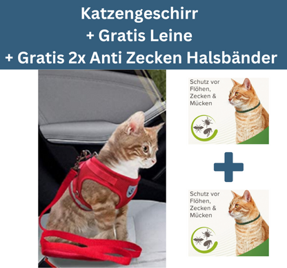 2-in-1 Katzengeschirr inkl. Gratis Leine + 2x Gratis Anti Zecken Halsbänder für Katzen