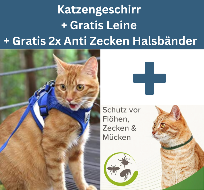 2-in-1 Katzengeschirr inkl. Gratis Leine + 2x Gratis Anti Zecken Halsbänder für Katzen