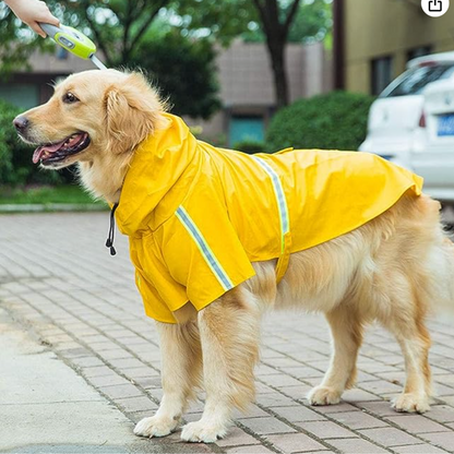 Hunde-Regenmantel - schützt vor Wind, Regen und Kälte_Deinlieblingstier_gelb 2