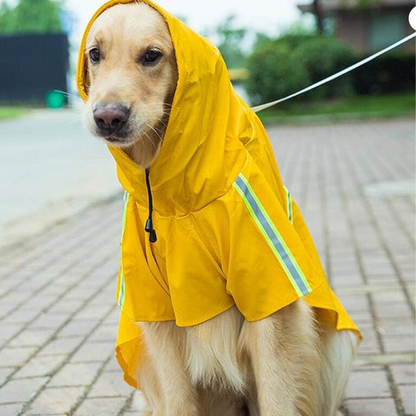Hunde-Regenmantel - schützt vor Wind, Regen und Kälte_Deinlieblingstier_gelb 4