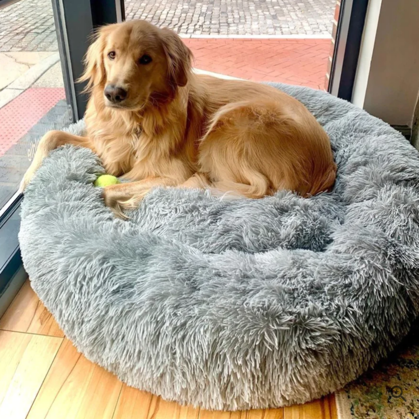 Orthopädisches Hundebett "Wolke 7" - kuschelig weich, leicht waschbar, haustierfreundlich_grau