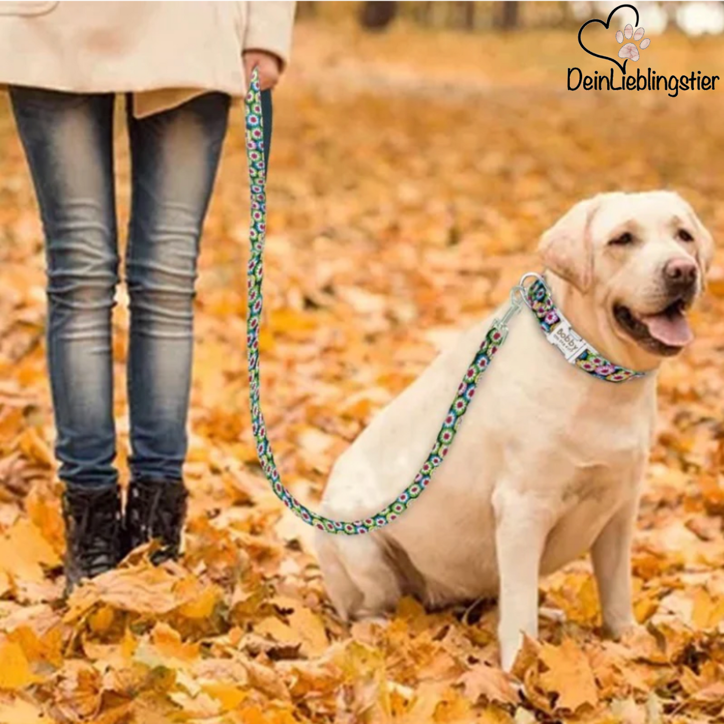 Personalisiertes Hundehalsband mit Leine - mit Name & Tel.-Nr. bedruckt - testsieger_bestbewertet