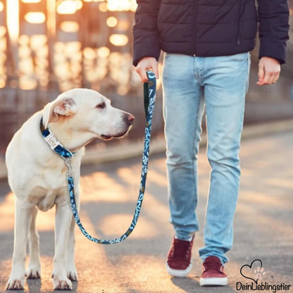 Personalisiertes Hundehalsband mit Leine - mit Name & Tel.-Nr. bedruckt - testsieger_deinlieblingstier