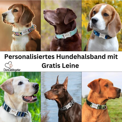 Personalisiertes Hundehalsband mit Leine - mit Name & Tel.-Nr. bedruckt - testsieger_neu