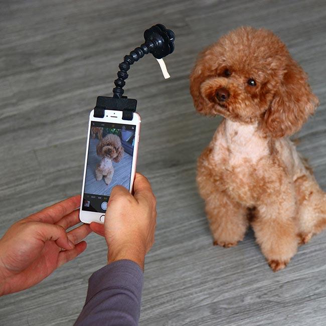 Hunde und Katzen Selfie - Smartphone Aufsatz