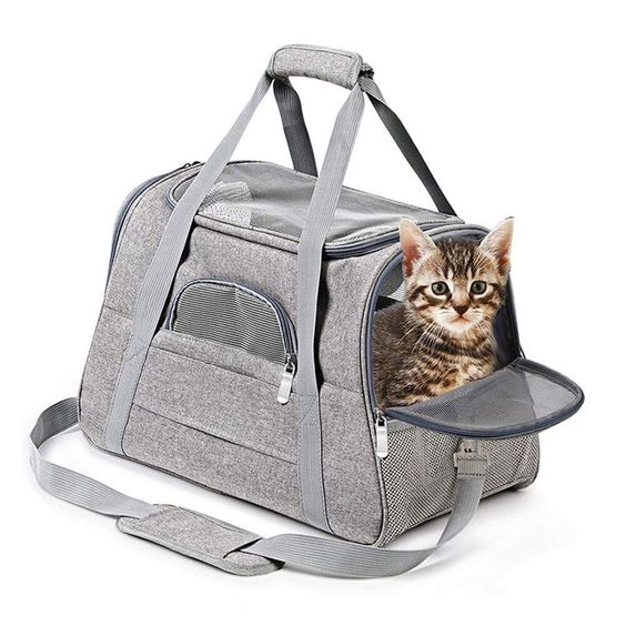 Robuste Transporttasche für Katzen
