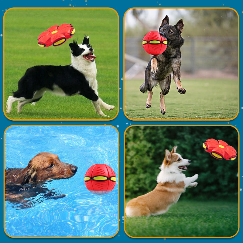 Hundespielzeug fliegender Frisbee Hundespielball