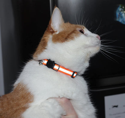 Katzen - LED Leuchthalsband