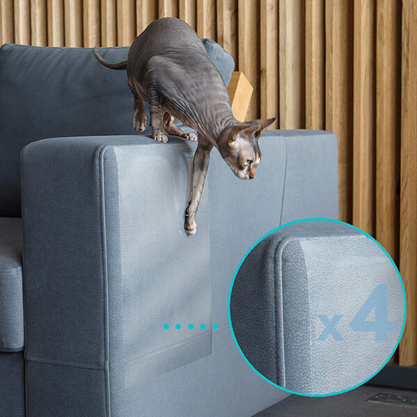 Transparenter Möbelschutz für Katzen