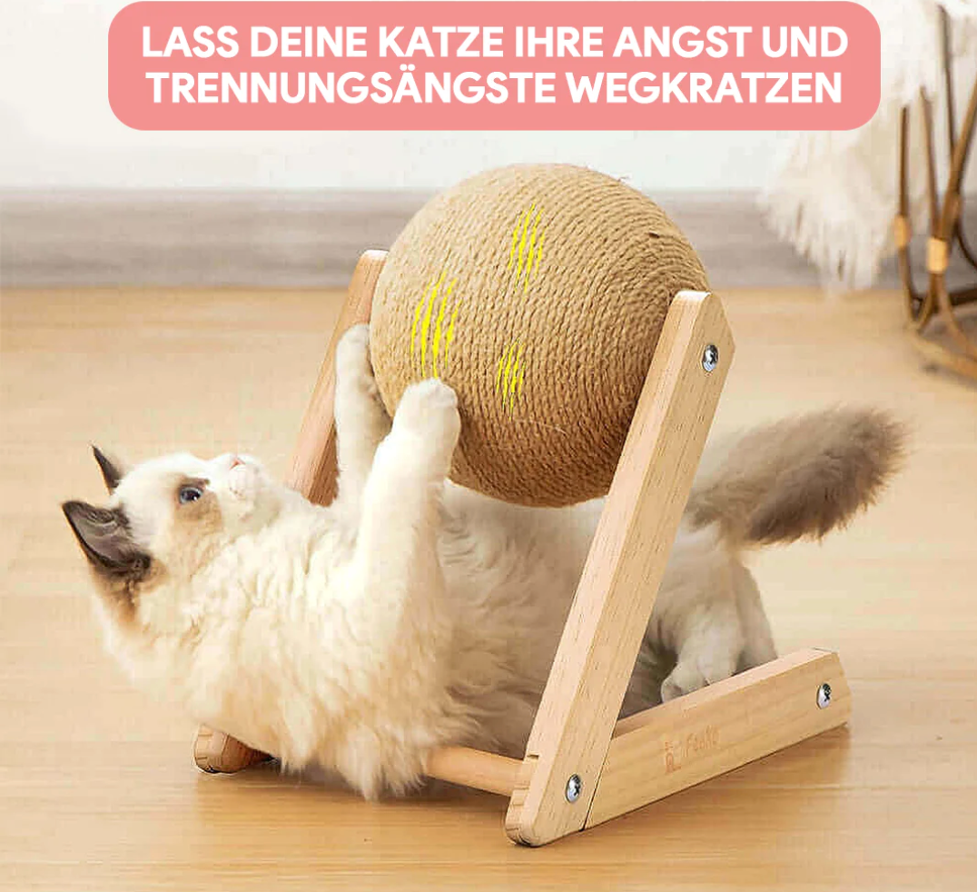Borusu | lustiges Katzen-Spielzeug & Kratzbaum - für Nagelpflege, langlebig, schont Möbel 13