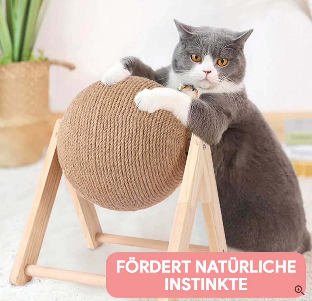 Borusu | lustiges Katzen-Spielzeug & Kratzbaum - für Nagelpflege, langlebig, schont Möbel 15